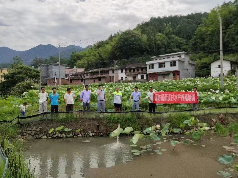 养殖湖南鱼鸭嘴技术与管理_湖南鸭嘴鱼养殖技术_湖南鸭嘴鱼养殖有几家