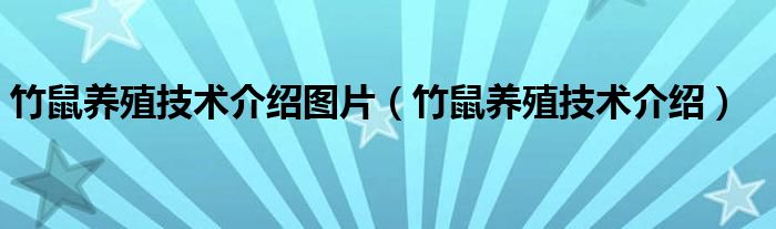 竹鼠养殖技术介绍图片（竹鼠养殖技术介绍）