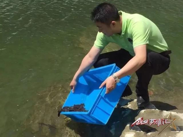 致富流水养殖项目介绍_流水养殖致富项目_致富流水养殖项目有哪些