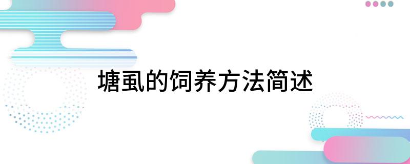 塘虱鱼养殖技术_塘虱鱼养殖技术书_塘虱鱼养多久上市