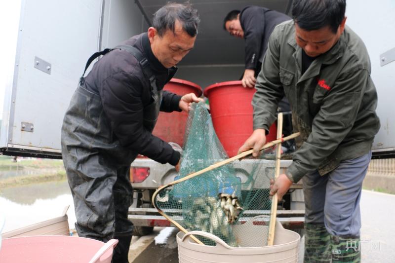 致富养殖江西项目招标_江西养殖致富项目_江西农村养殖致富门路