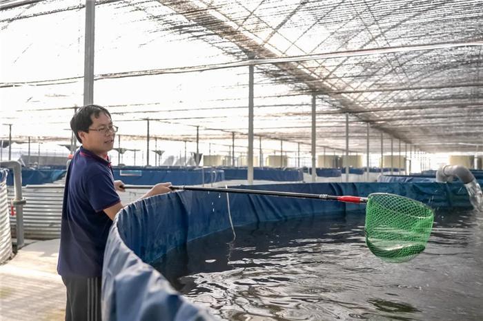 致富流水养殖项目有哪些_致富经养流水鱼视频_流水养殖致富项目