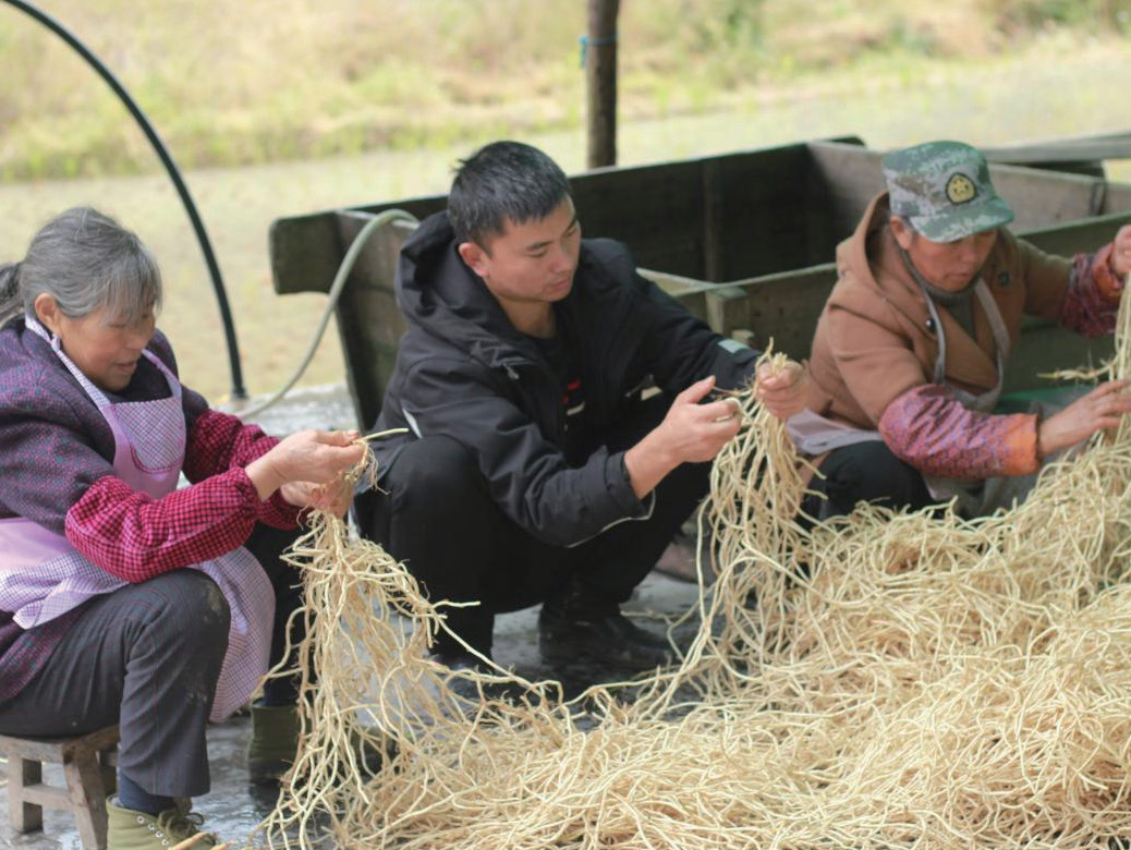 农村种植养殖致富经_农村致富种植养殖技术_农村致富养殖项目大全