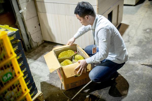 致富经 蒲公英_蒲公英种植技术农村致富经_蒲公英致富经
