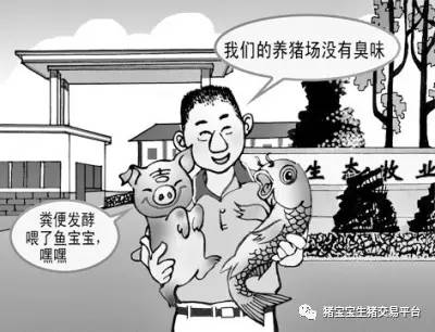 猪舍冲洗流程_致富经免冲洗猪舍_冲洗猪舍用什么设备