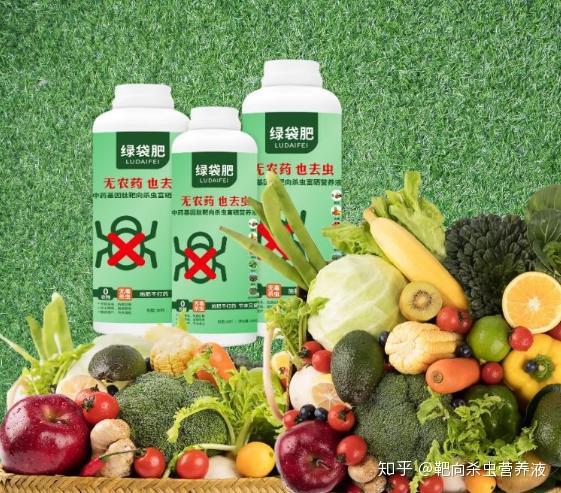 路地双膜西瓜种植技术_西瓜地膜种植技术视频_西瓜覆膜种植视频