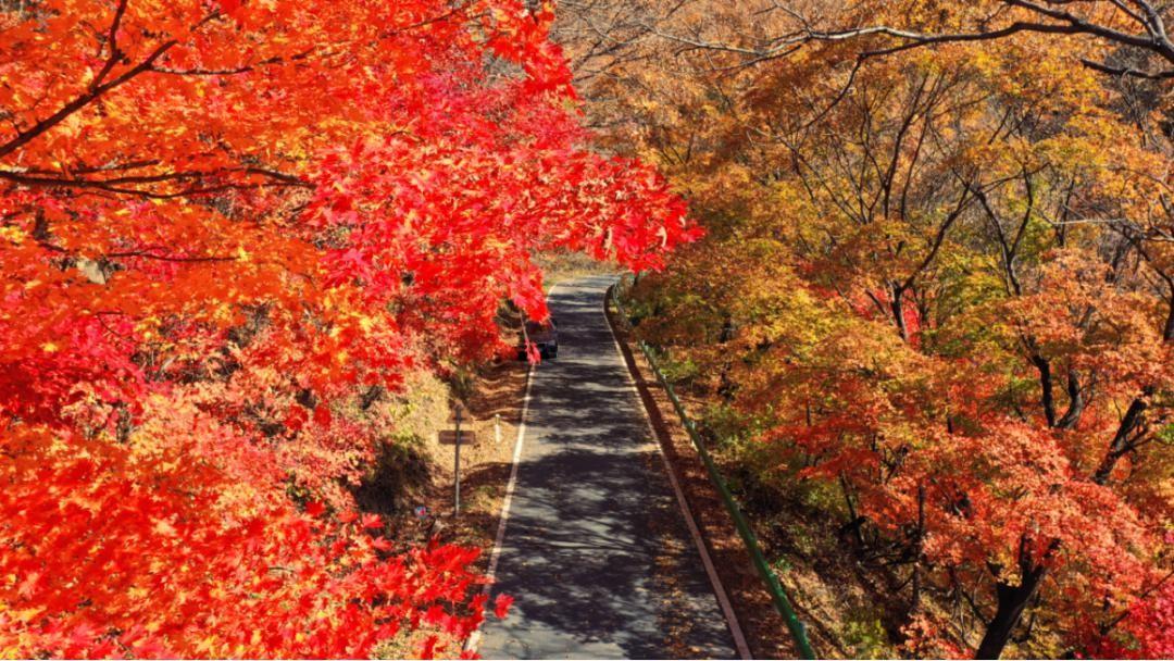 这条最美乡村公路，山水人文画中行