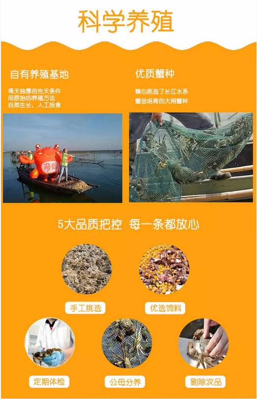 致富经阳澄湖视频_阳澄湖航拍视频_阳澄湖风景视频