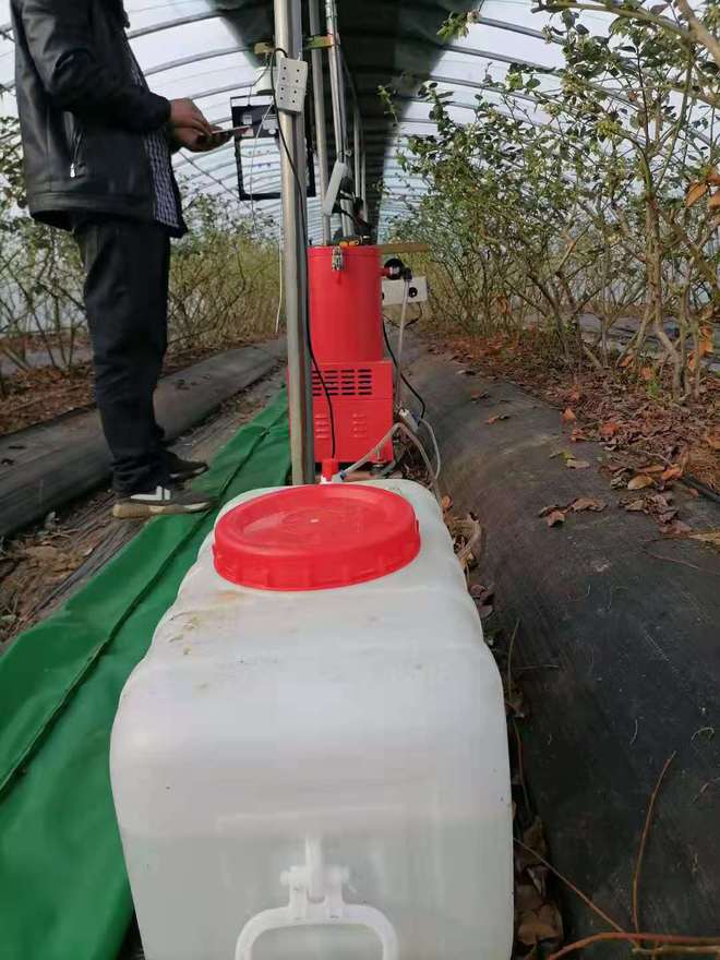 致富蔬菜水果种植经验总结_蔬菜水果种植致富经验_致富蔬菜水果种植经验交流