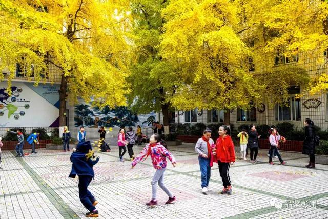 引进优质民办学校的反思与建议_引进民办优质学校经验材料_引进优质民办教育的利弊