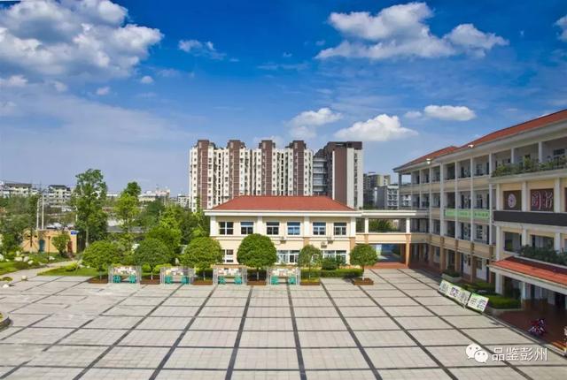 引进优质民办学校的反思与建议_引进优质民办教育的利弊_引进民办优质学校经验材料
