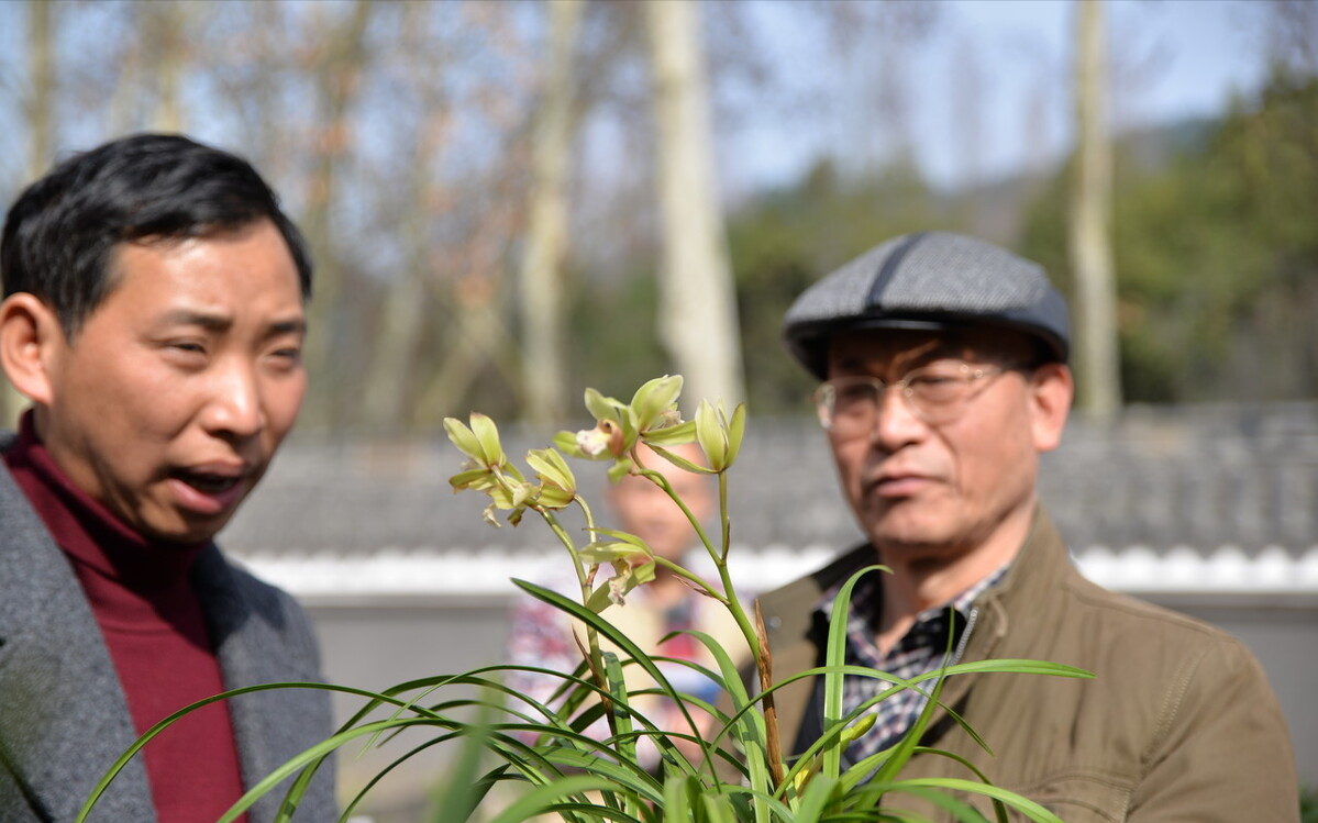 大棚种植致富事迹_大棚里的致富经_大棚种植致富故事