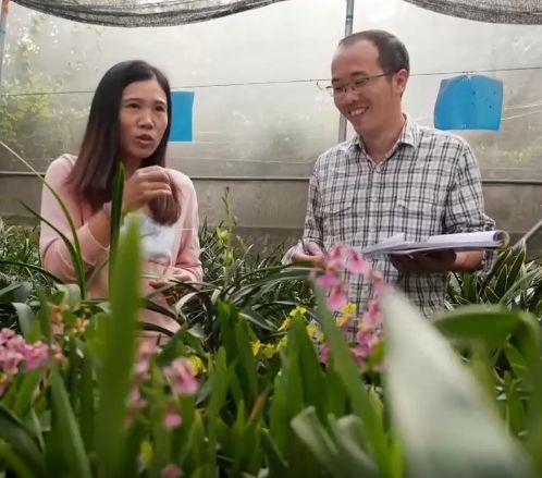 大棚里的致富经_大棚种植致富事迹_大棚种植致富故事