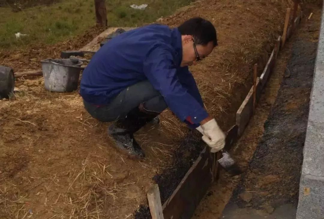 致富经散养土鸡可以笼养吗_笼养土鸡室内养鸡_土鸡笼养效益如何