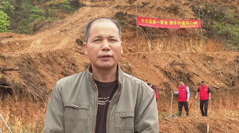 种植茶叶赚钱吗_茶叶种植致富吗_致富茶叶种植视频