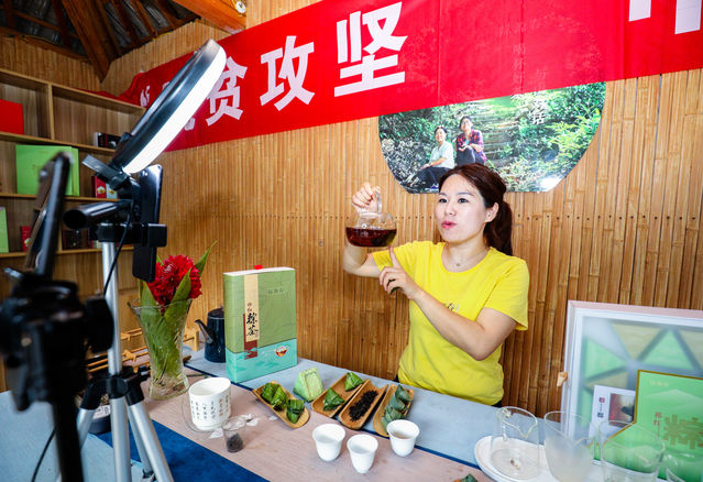 茶叶种植致富吗_致富茶叶种植视频_致富茶叶种植技术视频