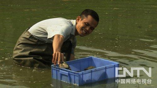 兔毛皮草制作过程_致富经兔毛皮制作視濒_自己用兔毛皮做手工