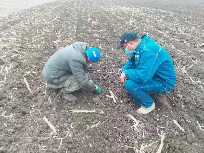 致富经汪三三_致富经汪三三_致富经汪三三