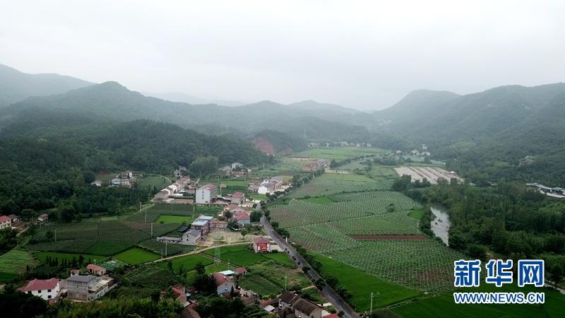 产业兴旺 襄阳村集体经济逐渐走出“空壳化”困境