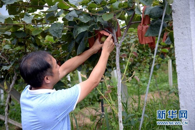 致富经汪三三_致富经汪三三_致富经汪三三