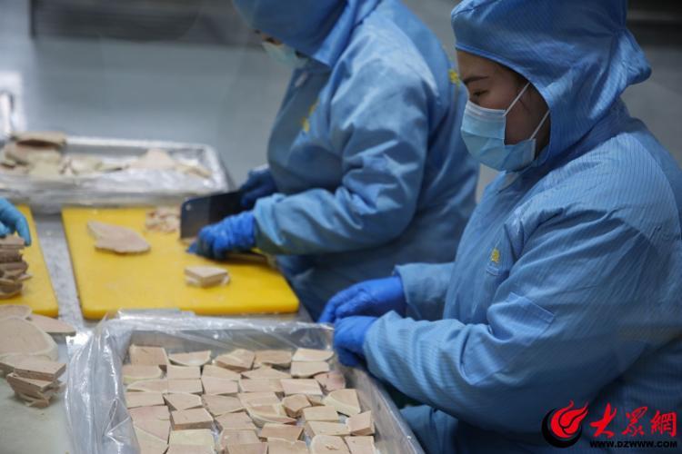 致富经鹅养殖技术视频_致富经朗德鹅养殖视频_养鹅视频大全