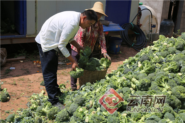 致富养殖信息_养殖走上致富之路_致富经养殖业