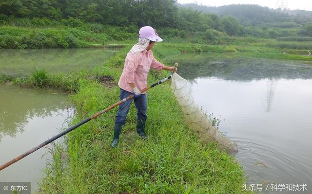 水产养殖防寒技术措施