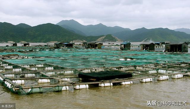 水产养殖防寒技术措施