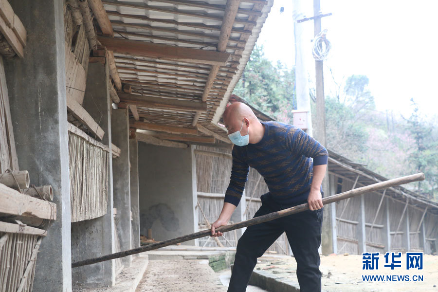 荆州秦文涛用中草药养鸡的致富带头人 让土鸡走出大山