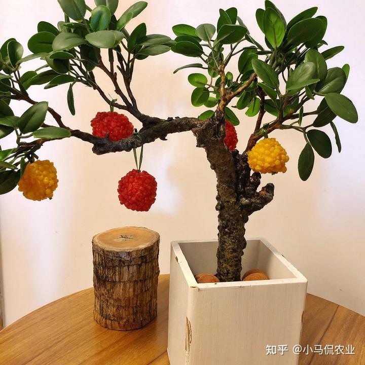 种植致富宝典_视频致富种植宝怎么下载_致富宝种植视频