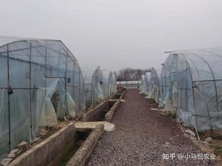 视频致富种植宝怎么下载_种植致富宝典_致富宝种植视频