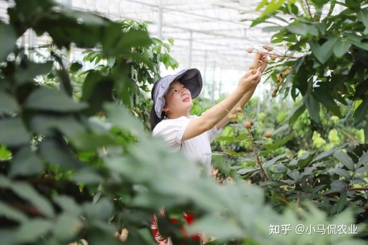 视频致富种植宝怎么下载_致富宝种植视频_种植致富宝典