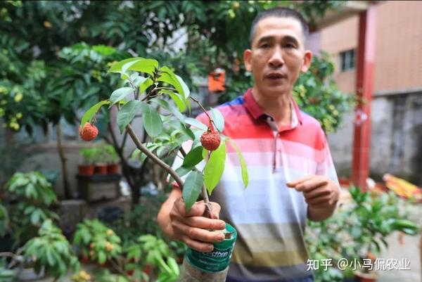 视频致富种植宝怎么下载_致富宝种植视频_种植致富宝典