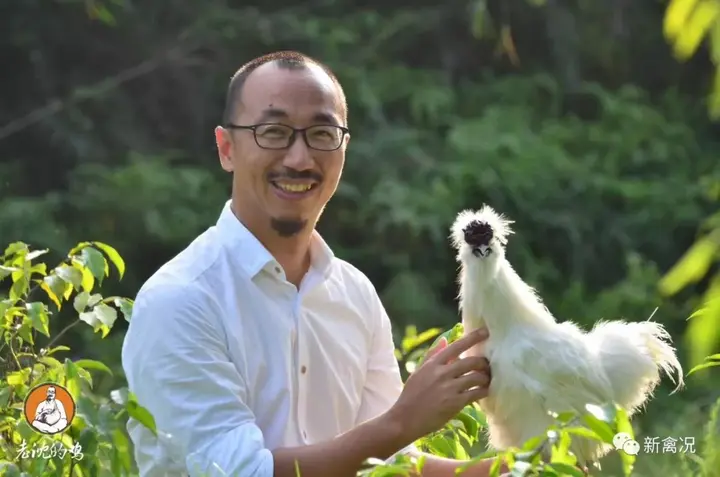 致富养殖土鸡图片_土鸡养殖致富_土鸡养殖致富经2019年全集