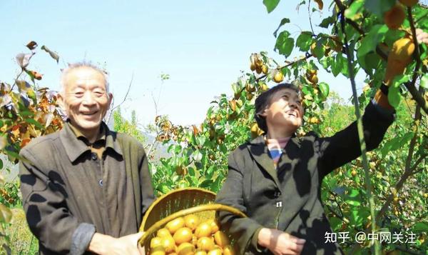 菌菇种植利润怎么样_菌菇种植技术_农业致富种植菌茹