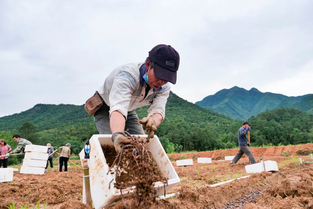 蚯蚓养殖视频技术_2019蚯蚓养殖技术视频播放_视频养殖蚯蚓技术教程