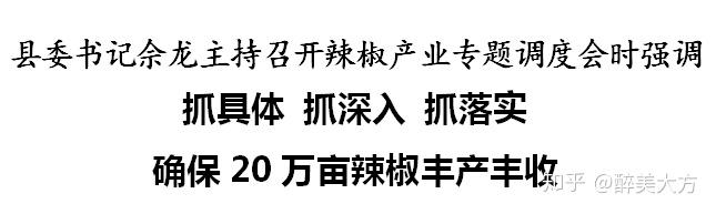 县委书记佘龙主持召开辣椒产业专题调度会