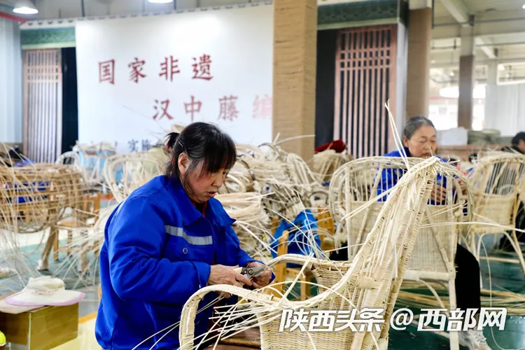 汉中适合种植哪些中草药_汉中种植致富_汉中种植作物