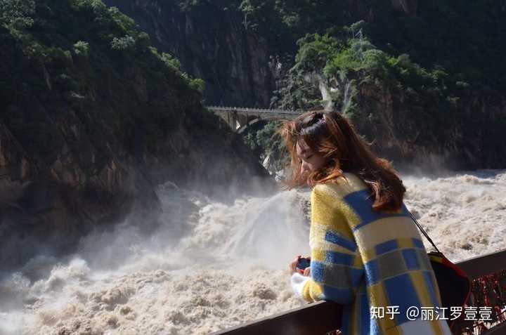 致富经养兰花视频_致富经养殖兰花_致富兰花养殖基地地址