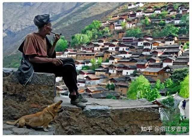 致富经养殖兰花_致富经养兰花视频_致富兰花养殖基地地址