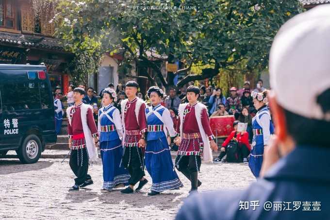 致富兰花养殖基地地址_致富经养殖兰花_致富经养兰花视频