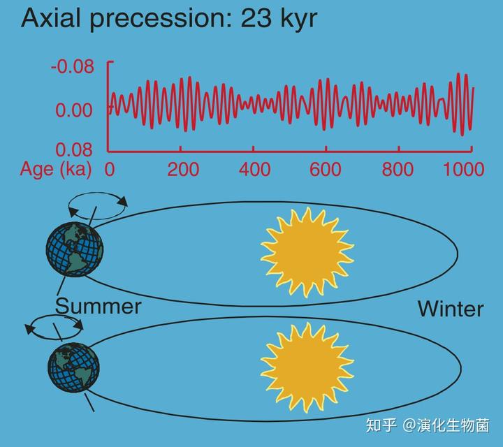 养兰致富经_致富经养殖兰花_兰花致富经