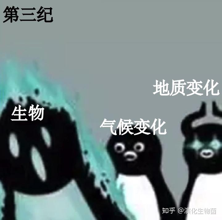 养兰致富经_致富经养殖兰花_兰花致富经