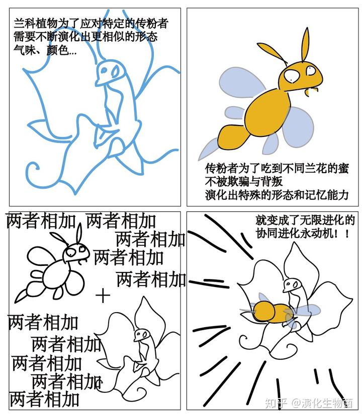 养兰致富经_致富经养殖兰花_兰花致富经