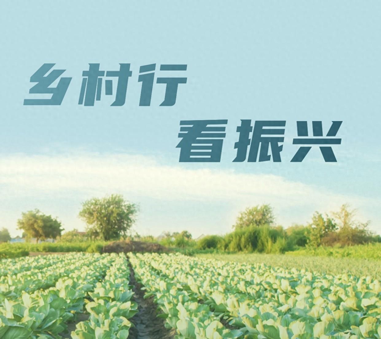 零食创业_零食创业项目_致富经零食创业故事