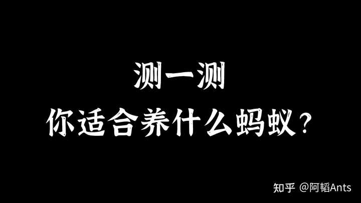 面包虫养殖家庭技术与管理_面包虫养殖技术大全_家庭面包虫养殖技术