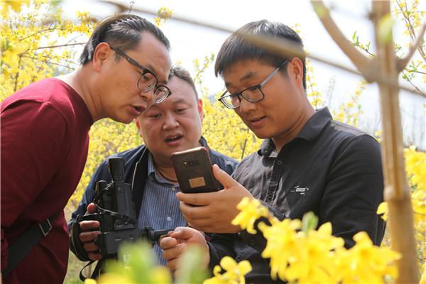 致富种植灵宝怎么样_致富经种灵芝视频_灵宝种植致富