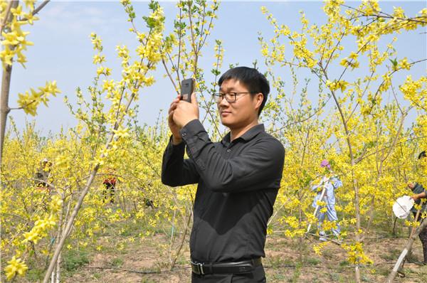 灵宝种植致富_致富种植灵宝怎么样_致富经种灵芝视频