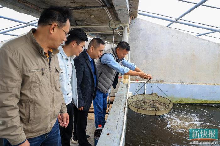湛江农村养殖什么好_湛江养殖致富_湛江养殖网