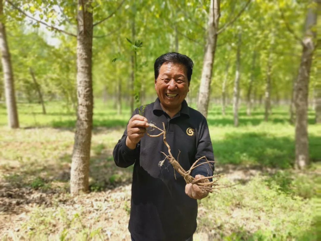 致富好项目种植_致富种植视频全集_特色种植致富忙